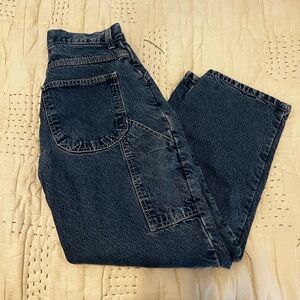 Dark Wash Denim Jeans with Flannel Lining - Petite! OFFERS WELCOME